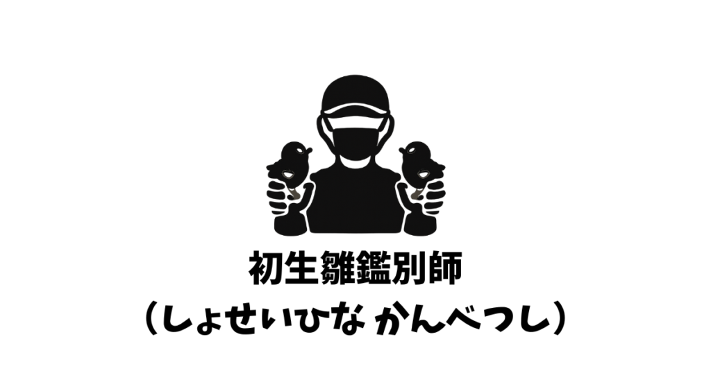 初生雛鑑別師（しょせいひな かんべつし） | 中高生の職業図鑑
